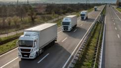 ��������. ������� ����