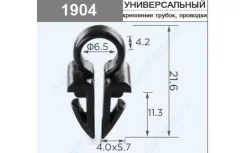 ������ �� �������� 1904 1904 ����