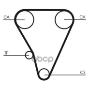 ������ ��� Continental ���. CT555 CT555 ����