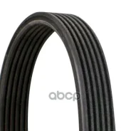 ������ ������������ Contitech Continental ���. 6dpk2215 6DPK2215 ����