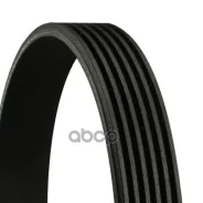 ������ ��������. Contitech Continental ���. 6pk2077 6PK2077 ����