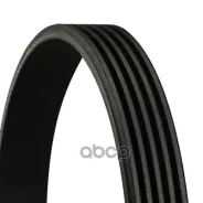 ������ ��������. Contitech Continental ���. 5pk1295 5PK1295 ����
