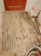 ���������. ����