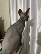 ������� ������. ����