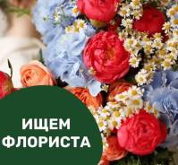 ��������-�������. �� ��������. ����� ������ 32� ����