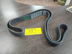 ����� ��� Nsp 2431237500 2431237500 ����