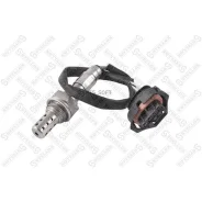 ������-���� Stellox 2000043SX 2000043SX ����