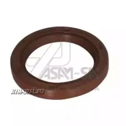������� ��������� ASAM 30420 30420 ����