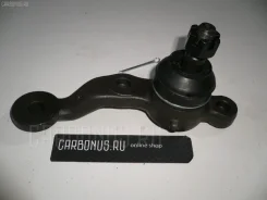 ������� ����� Lexus Is200 GXE10, ������ �������� NP0828395 ����