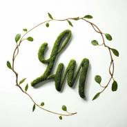 �����������. ��� ���������� �������. �������� ����