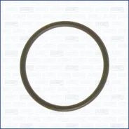 ��������� ��������� ���������� Ajusa 16023100 16023100 ����