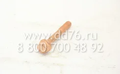 ���� 310135 310135 ����