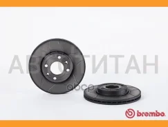 ���� ��������� Max | ����� | 09907875 ����