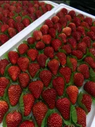 ������, �����. ��� ����� �� ������������ ����