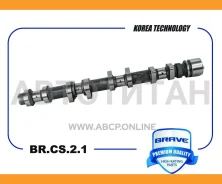 ��� ����������������� Hyundai Solaris, Rio, Elantra �������� G4FA/G4FC BRCS21 ����
