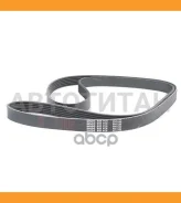 ������ ������������ BMW 1 F20/3 F30 /5 F10/X3 F25/Volkswagen GOLF 5/Jetta/Passat/Tiguan 1,4 TSI 06- Bando 6PK1700 6PK1700 ����