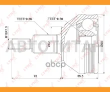 ���� �������� | ����� ����/��� | [CO3909] CO3909 ����