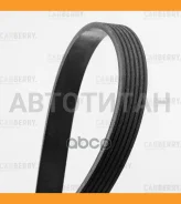 ������ ������������ Universal Carberry 6PK2128 6PK2128 ����