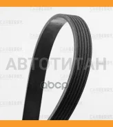 ������ ������������ Carberry 6PK2245 6PK2245 ����