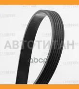 ������ ������������ Carberry 6PK2413 6PK2413 ����