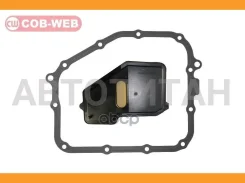 ������ ���� � ������������� ���������� ������� COB-WEB 113010SR (SF301/073010SR) COB-WEB 113010SR 113010SR ����