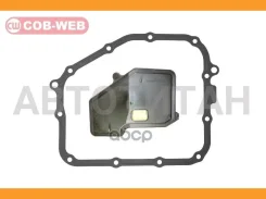 ������ ���� � ������������� ���������� ������� COB-WEB 11301ASR (SF301A/073010SR) COB-WEB 11301ASR 11301ASR ����