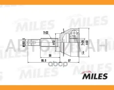 ���� �������� Daewoo Nexia 1.5 96- (GKN 302803) GA20081 GA20081 ����