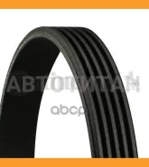 ������ ��������� ������������ Continental 5PK1110 5PK1110 ����