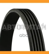 ������ ������������ Continental 5PK1060 5PK1060 ����