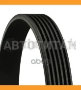 ������ ������������ 6PK1100 1987948437, 68373, 6PK1098, 6PK1100, J1064000, QBR61100, 6K1100, 28921, 6PK1101, 6PK1102, 6PK1099, 06J260849F, 5750WR, 575...