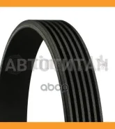 ������ ������������ Continental 6PK2135 6PK2135 ����