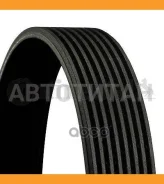 ������ ������������ [8PK1230] Iveco, Volvo 8PK1230ES, 8PK1230, K080485GS, 8PK1230HD, 1230K8, 8K1230, 29055, U989374, 8PK1228, 8PK1229, 8PK1232, 8PK123...