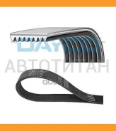 ������ ������������ 8PK1920 MAN Dayco 8PK1920HD 8PK1920HD ����
