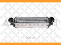 ���������� BMW E70/E71 2,8-3,5i/3,0D 08- 1040249SX ����