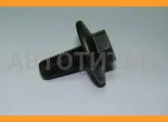 ���� ����� ��������� 1057134 ����