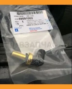 ������ ����������� ����������� �������� GM 55591002 55591002 ����