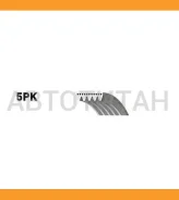 ������ ������������ XF 58366 5PK1013 ����