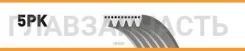 ������ 5PK1515-1513 Gates 58406 ����-���� ��� ������. 5PK1513, 1987946057, 5PK1515, VKMV5PK1515, QBR51513, 5K1515, 8640501515, CA5PK1515, 1515K5, 2123...