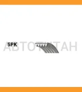 ������ 5PK 955 Gates 5PK955 ����