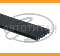 ������ ��������� �������� Gates 6PK1208XS 6PK1208XS ����