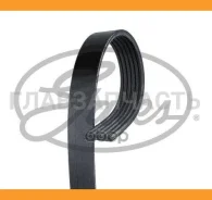 ������ ������������ Gates 6PK1578 ����