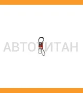 ������ ������������ Gates 6PK1823XS 6PK1823XS ����