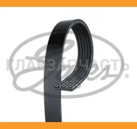 ������ ������������ 6PK797EST ����