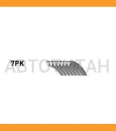 ������ ������������ OPEL: Movano B Gates 7PK1685 7PK1685 ����