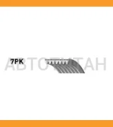 ������ ������������ XF Gates 7PK2535 7PK2535 ����