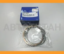 ������ ��������� ix35/Tucson 2010-2015, Santa Fe (CM) 2006-2012, Santa Fe (DM) 2012, Sonata V (NF) 2005-2010 Hyundai-KIA 230402G200 230402G200 ����