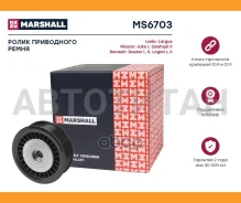 �����-���������� ��������� ������������ MS6703 ����