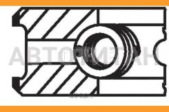 ������ dm.75.00 STD [3.0-1.95-2.5] 1 ���. Citroen Berlingo/C2/C3/C4/C5/Jumpy/Xsara, �FIAT Scudo, FORD C-Max/Fiesta/Focus/Fusion, Nazda 3, MINI R55/R56...