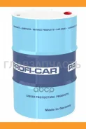 Profi-Car Light Truck