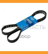 ������ ������������ Sun 7PK1735 ����